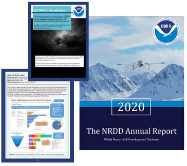 NRDD Annual Report 2020 Thumbnail